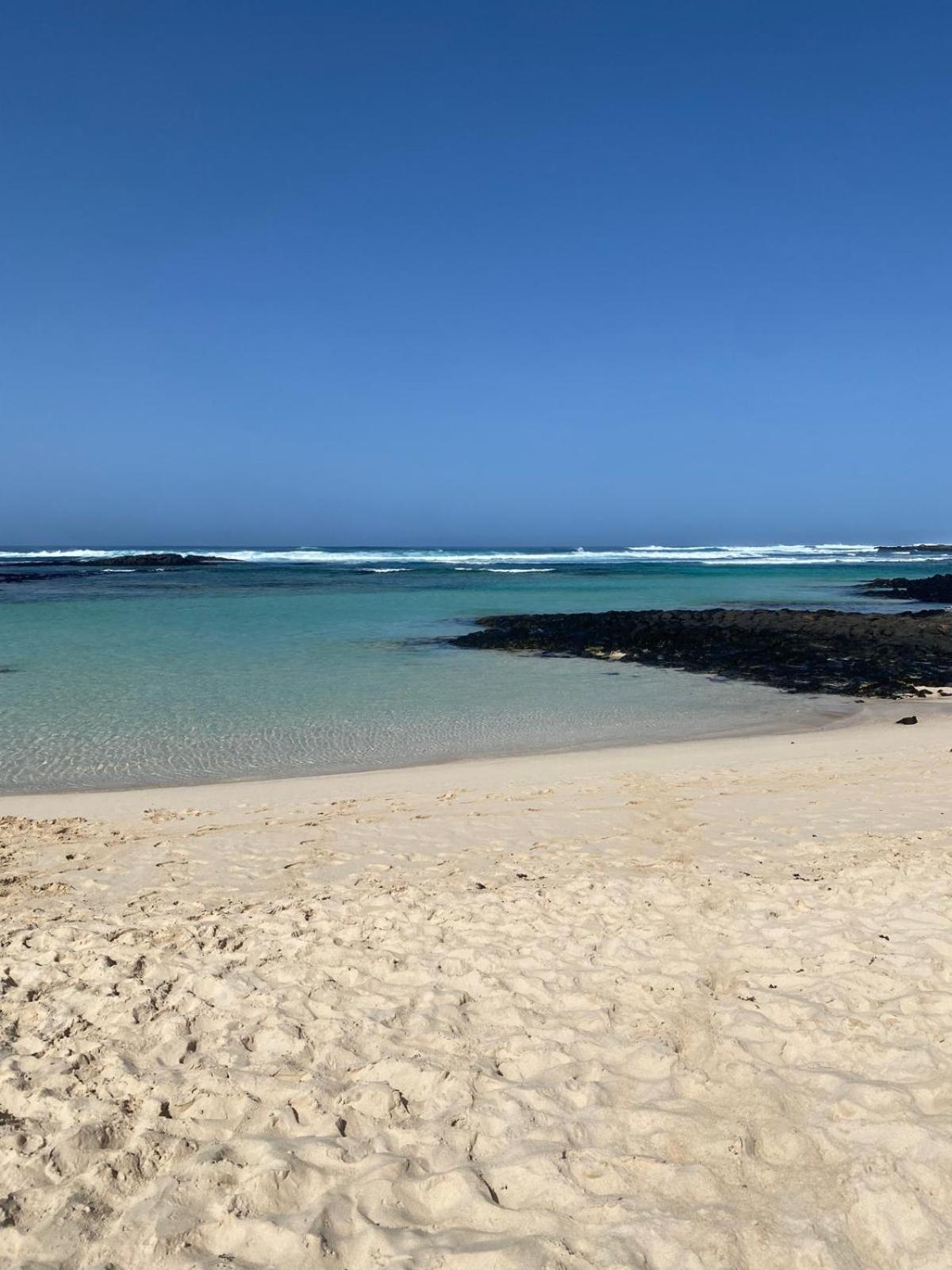 Cotillo Cotillo