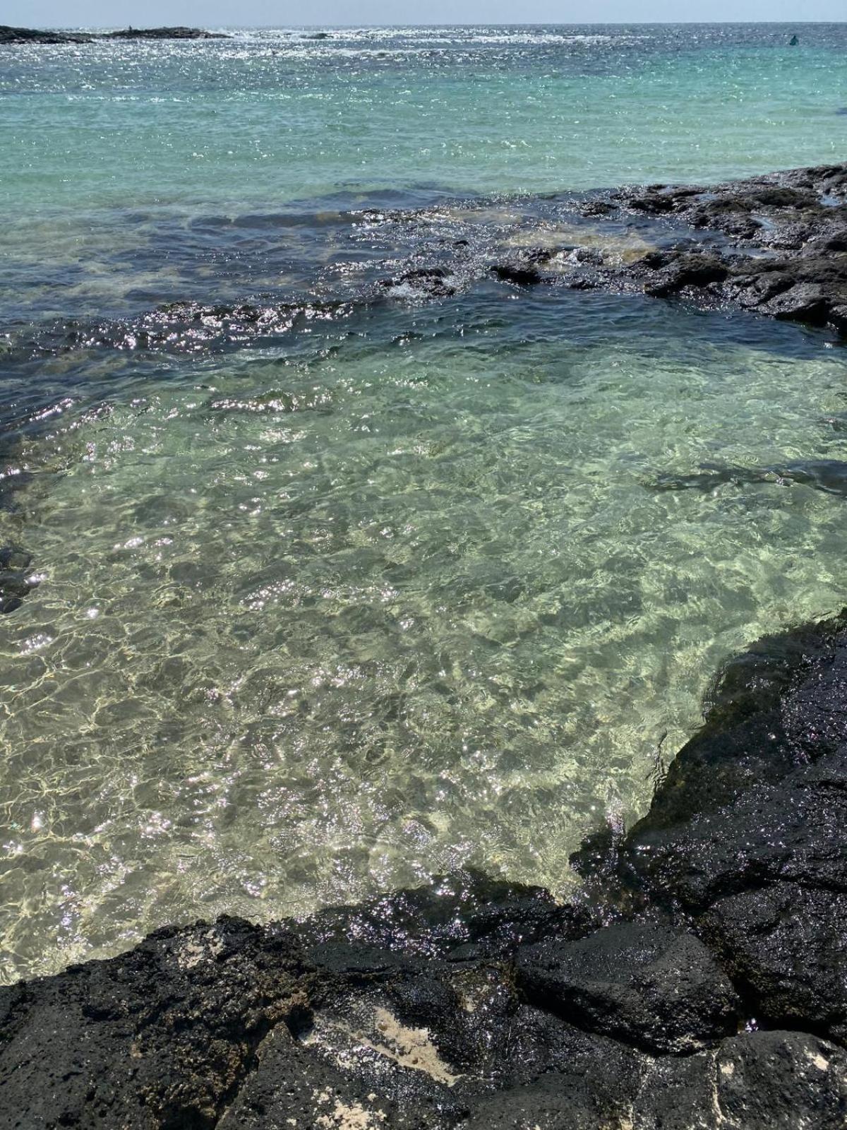 Cotillo * Cotillo