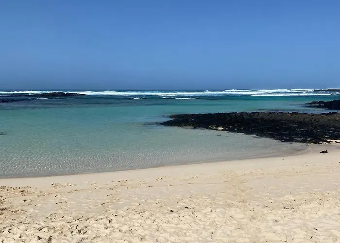 Cotillo