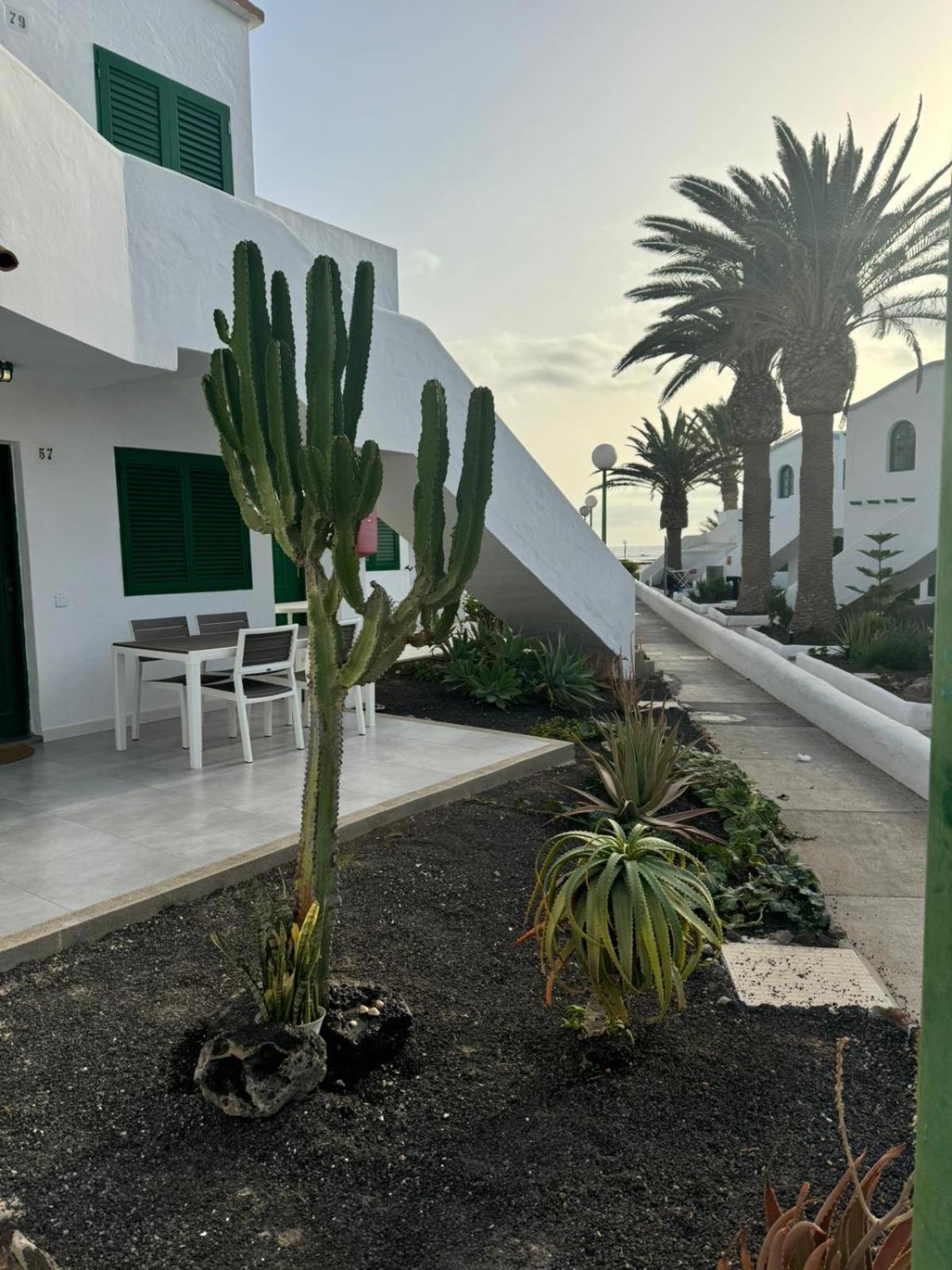 Apartment Cotillo *